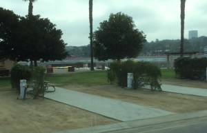 The view from my window