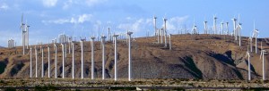 Wind Farm- Palm Springs