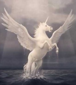 pegasus_008