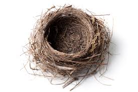 empty nest