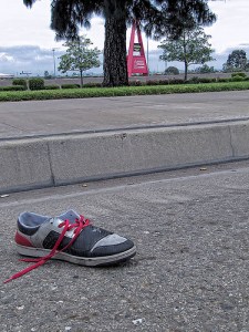 The Red and The Gray